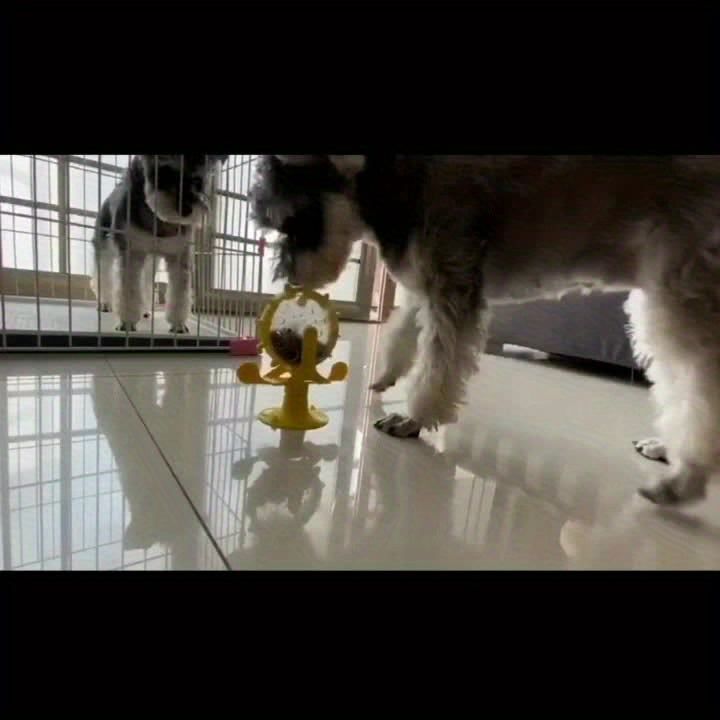 IQ Verhogende Katten Voederpuzzel | Mentale Stimulatie & Langzaam Voederen met Geluid van een Bel voor Interactief Huisdierenspeelgoed