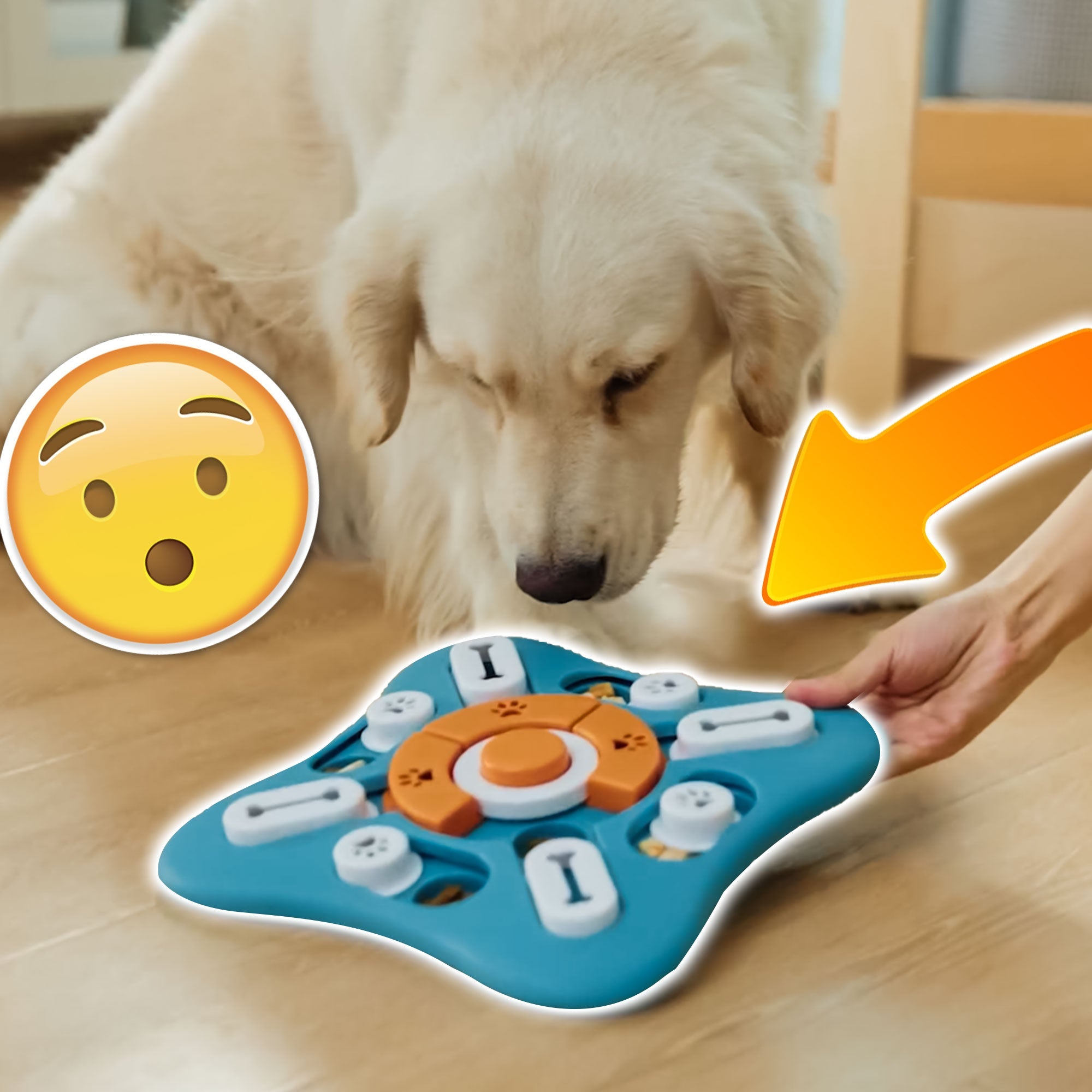 Pawzzle – Slimme Hondenpuzzel Voeder voor Gezonde Eetgewoonten